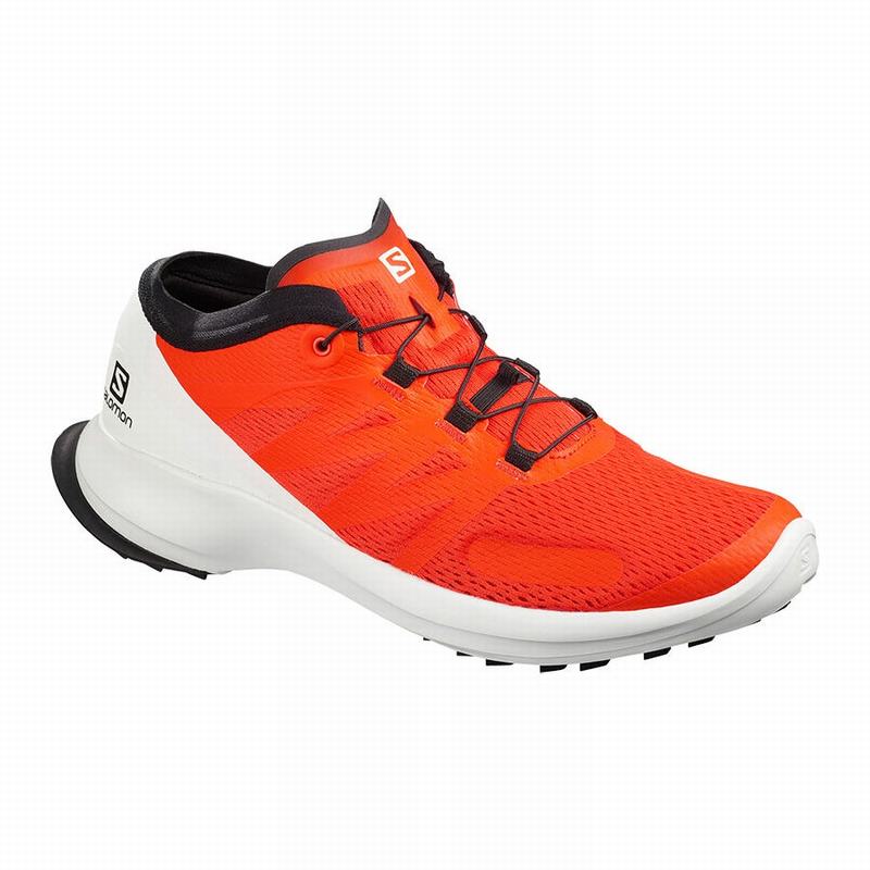 SALOMON SENSE FLOW Philippines - Men's Trail Running Shoes - Orange | 124873-JGM